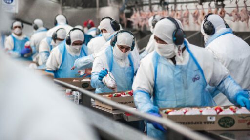 Argentina reanuda exportaciones de carne aviar a China tras levantamiento de restricciones