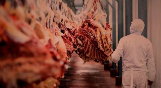 Paraguay supera 339 millones de dólares en exportación de carne en los primeros meses del año