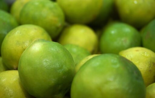 Portugal obtiene luz verde para exportar limones a Brasil tras superar barreras fitosanitarias