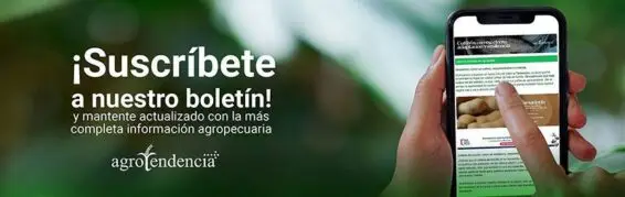 suscríbete a nuestro boletín