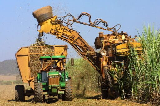 Gremios: escasez de diésel en Bolivia complica la producción de caña de azúcar