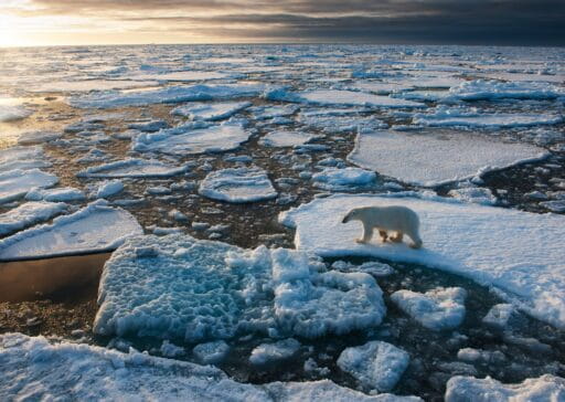 ONU alerta de calentamiento global extremo para los próximos cinco años