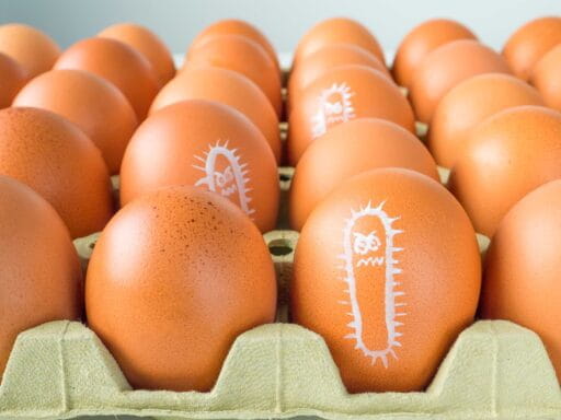 Alerta en nueve estados de EE. UU. por brote de salmonela en huevos