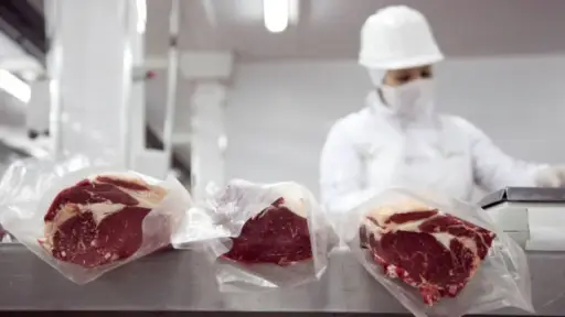 La carne argentina mantiene su valor en mayo pese a la baja en volúmenes exportados