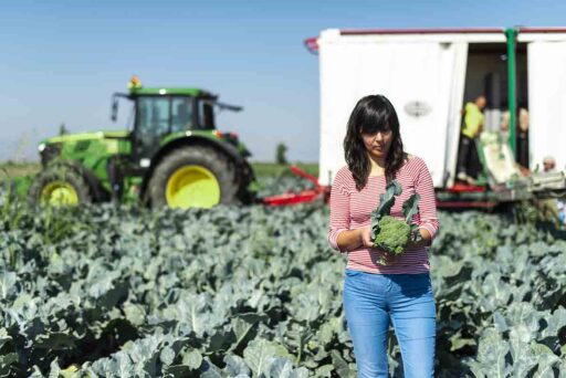 Citoquininas: Impulsa el crecimiento y desarrollo en tus cultivos
