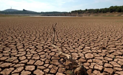 España enfrenta una creciente desertificación, impulsada por el cambio climático y la gestión del agua