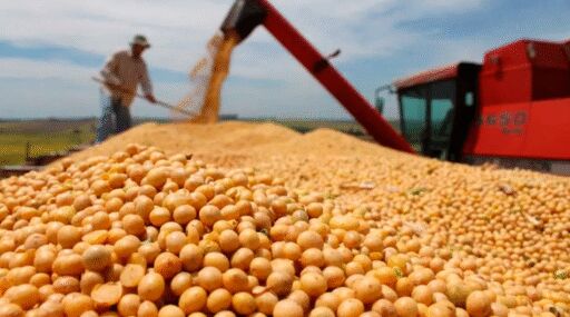 España: Agricultores protestan para exigir mayor control en la importación de cereal