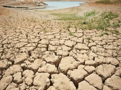 Mes de mayo de 2025 fue el segundo más cálido de la historia según expertos