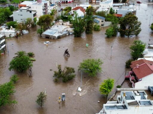 La FAO destinará fondos en Argentina afectadas por desastres climáticos