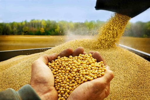 Productores de soya de Bolivia detienen la siembra por escasez de combustible