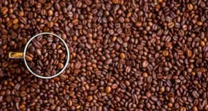 Exportaciones salvadoreñas de café aumentaron más de 50 % en 2025