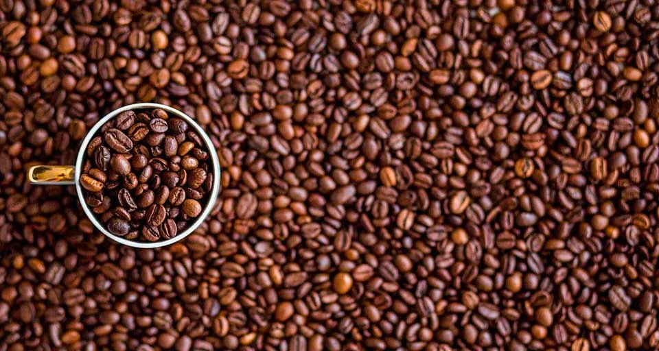 café salvadoreño