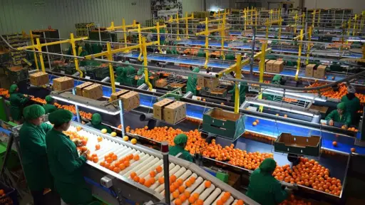 Uruguay logra habilitación sanitaria para exportar cítricos a Filipinas