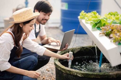 Acuaponía con Tilapia: Hortalizas Orgánicas de Calidad
