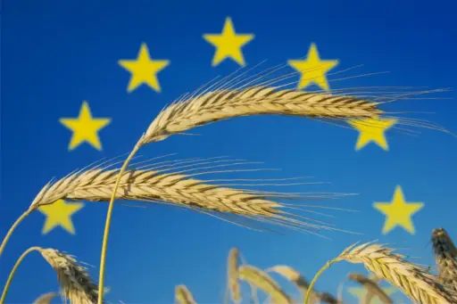 Planas: “Un arancel del 30 % cerraría el mercado estadounidense al agro europeo”