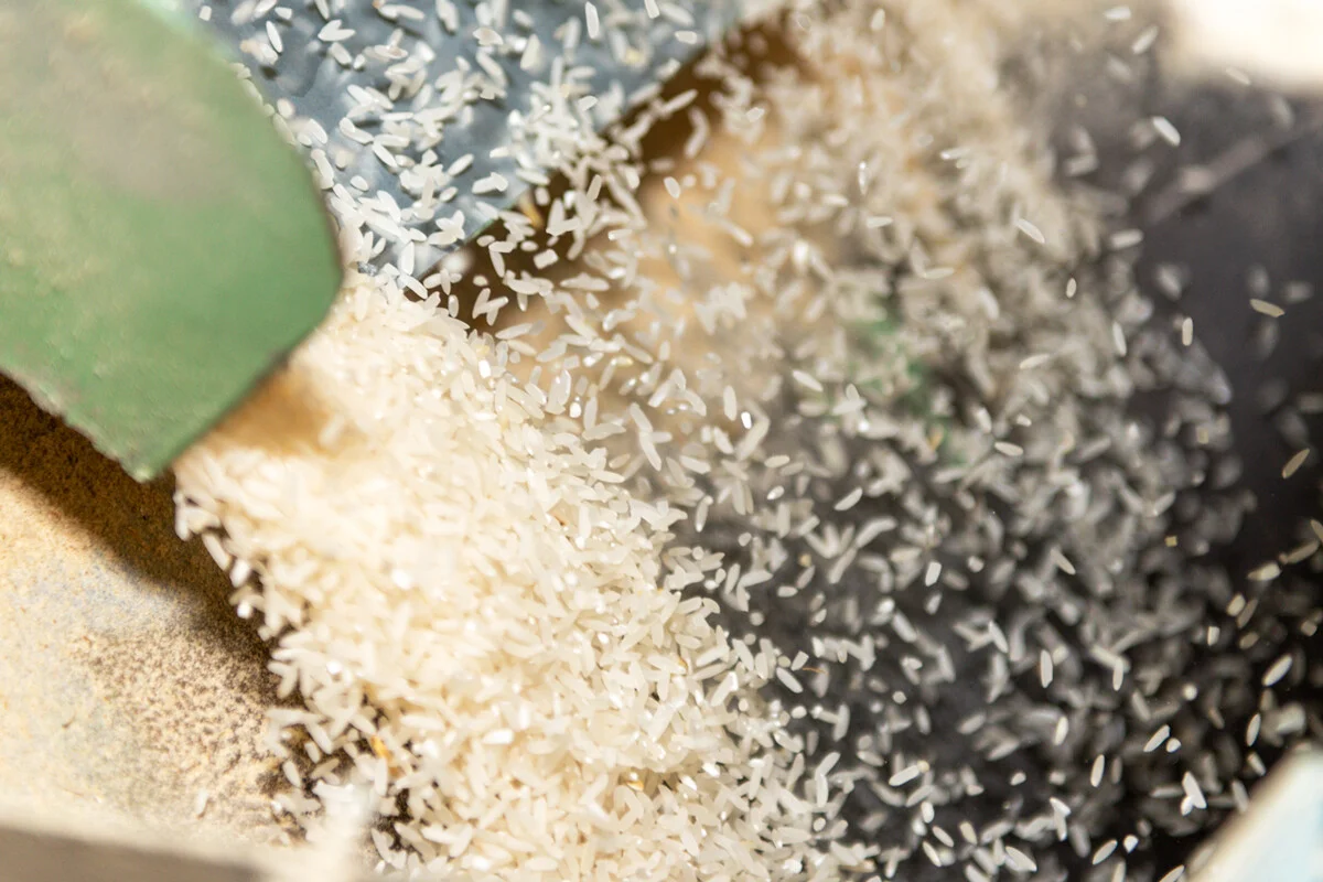 arroz costarricense