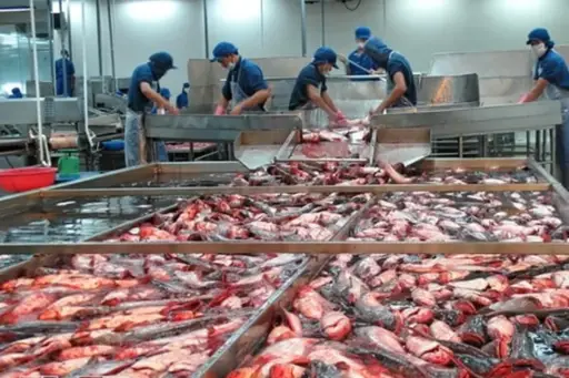 Brasil suspende exportaciones de pescado a EE. UU. ante anuncio de nuevo arancel
