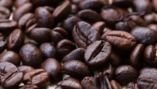Exportaciones de café brasileñas rompieron récords en ingresos