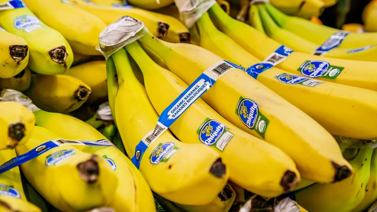 Chiquita Brands Panamá