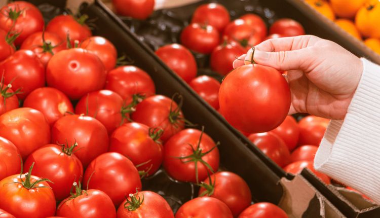tomate mexicano