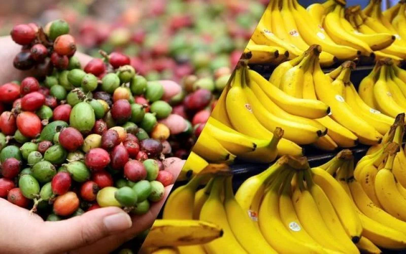 Exportaciones de Perú