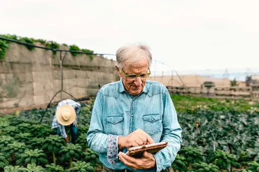 gestión agropecuaria - producción agrícola
