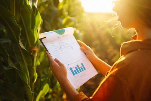 gestión agrícola - indicadores