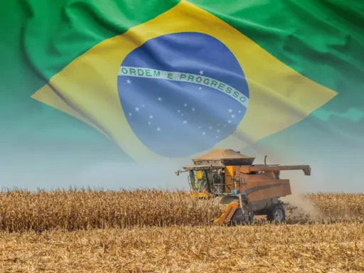 Gobierno brasileño busca diversificar mercados de exportación ante aranceles de EE. UU.