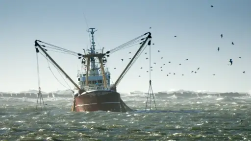 La Unión Europea sella un pacto histórico contra la pesca no sostenible de países terceros