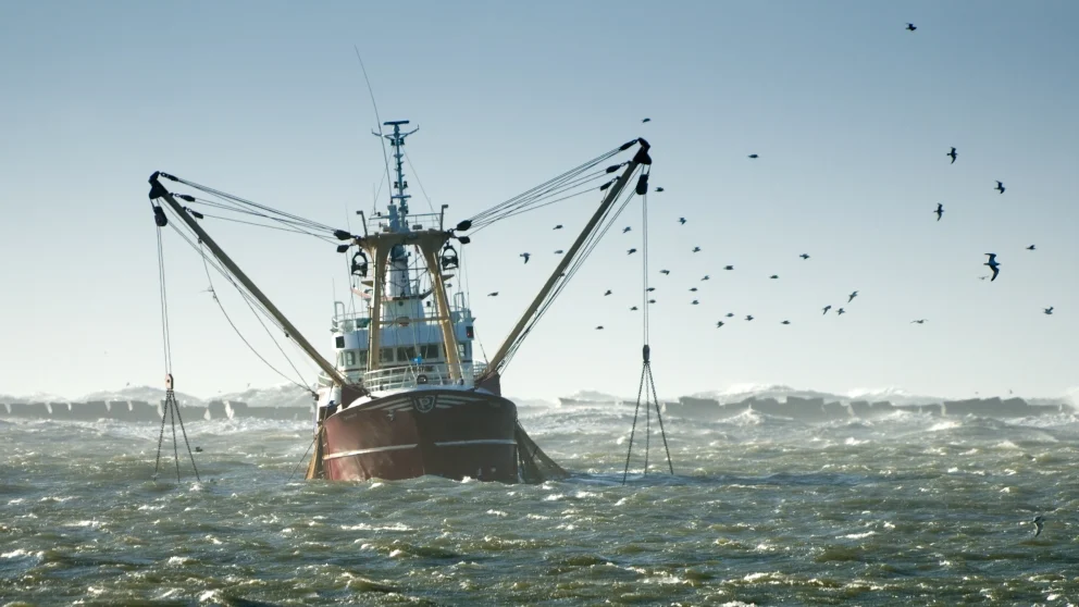 pesca no sostenible