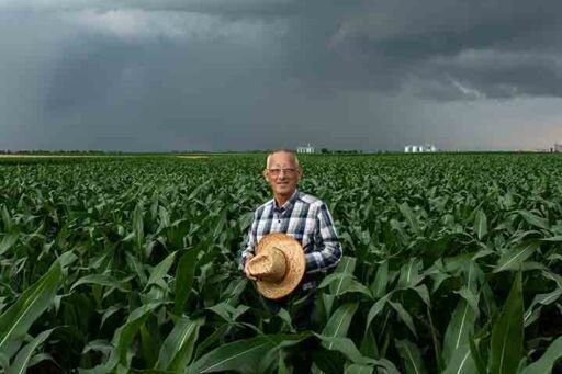 sostenibilidad agrícola - cultivos