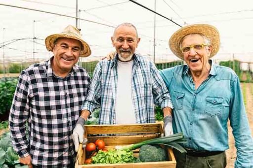 sostenibilidad agrícola - migración