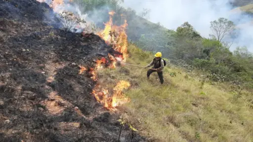 Bolivia declara emergencia nacional por incendios forestales