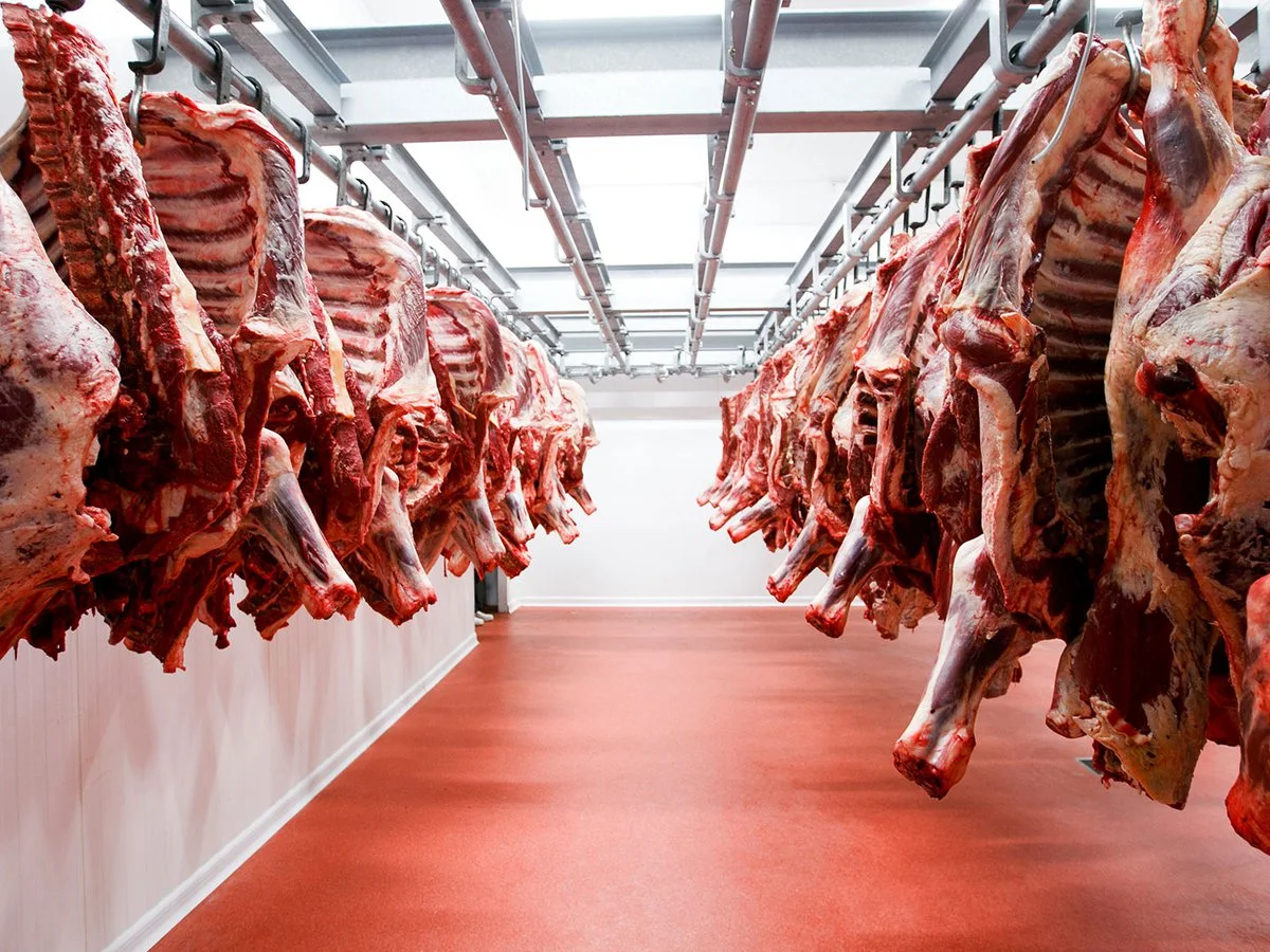 importación de carne