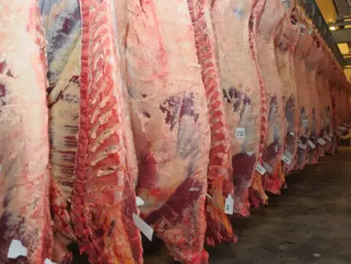 Colombia escala en el mercado global de carne y supera a potencias en exportaciones y consumo