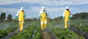 Costa Rica presenta política para promover el uso responsable de agroquímicos