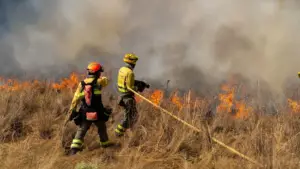 El Gobierno español garantiza ayudas de la PAC para agricultores afectados por incendios