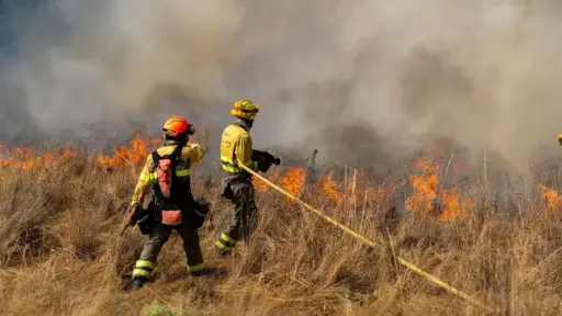 El Gobierno español garantiza ayudas de la PAC para agricultores afectados por incendios