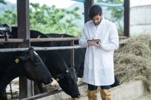 Tecnología de Parches Detectores de Celo: Duplica Preñez Ganadera