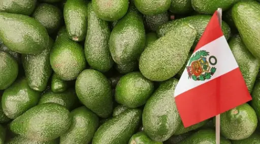 Perú gana terreno en el mercado de aguacate de EE.UU. mientras México y Colombia retroceden