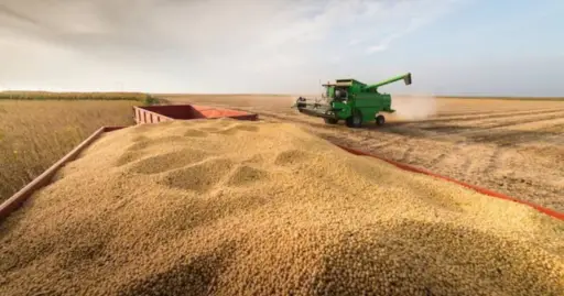 Sudamérica rompe récord en producción de soja
