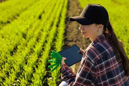 Transformación digital - agricultura de precisión