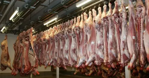 Caos en la barrera sanitaria: carne con hueso cruza sin control y Chile endurece su postura