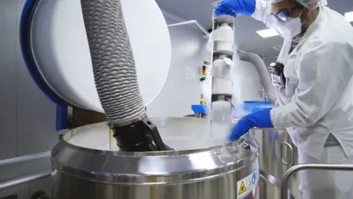 Las Américas lanzan un banco regional de antígenos para combatir la fiebre aftosa
