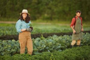 Agricultura Sostenible: Un Camino Hacia el Futuro Alimentario