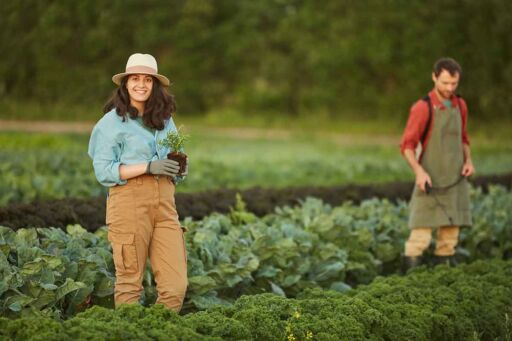 Agricultura Sostenible: Un Camino Hacia el Futuro Alimentario