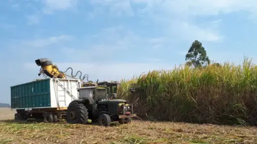 Productores cañeros de Bolivia alertan que zafra está en riesgo por falta de combustible