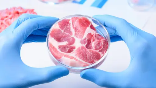 Texas prohíbe la carne de laboratorios por dos años y enfrenta desafíos legales