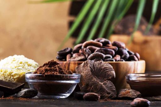 El Cultivo del Cacao: Desde la Finca hasta la Cosecha