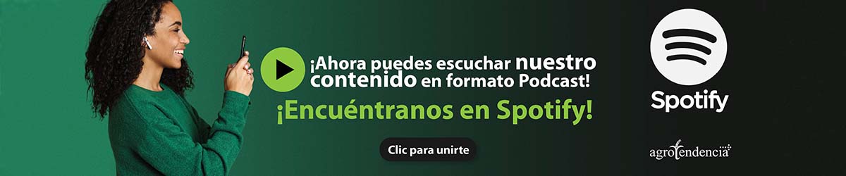 Escuchanos en Spotify